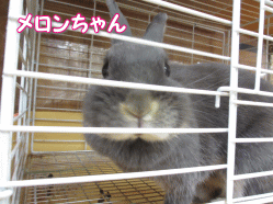 140505w.gif
