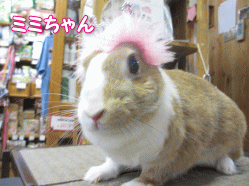 140506c.gif