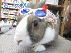 140506e.gif