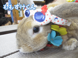 140506g.gif