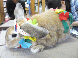 140506h.gif