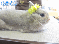 140506i.gif