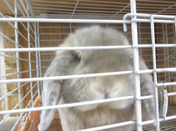 140506l.gif