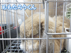 140506m.gif
