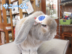 140509a.gif