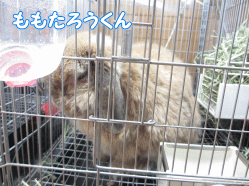140509c.gif