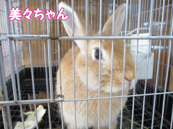 140509e.gif