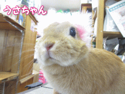 140510a.gif