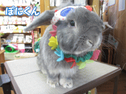 140510c.gif
