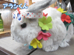 140510e.gif