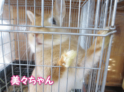 140510i.gif
