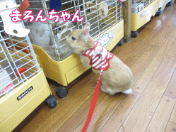 140511e.gif