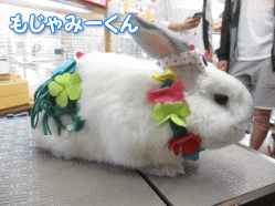 140512a.gif
