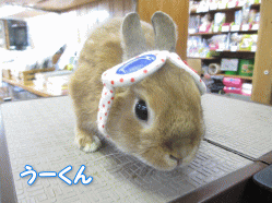 140512f.gif