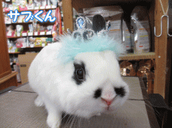 140512h.gif