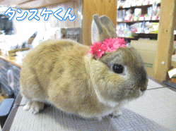 140513a.gif
