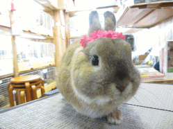 140513b.gif
