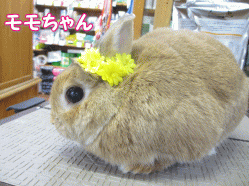 140515a.gif