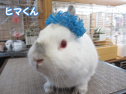 140517c.gif