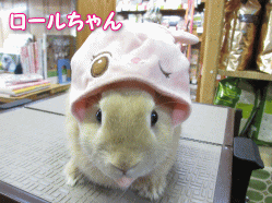 140517e.gif