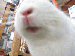 140517h.gif
