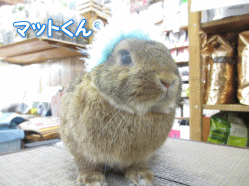 140517k.gif