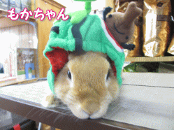 140518a.gif