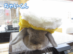 140518d.gif
