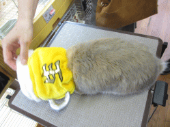 140518f.gif