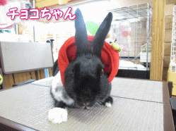140518g.gif