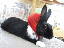 140518i.gif
