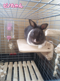 140520a.gif