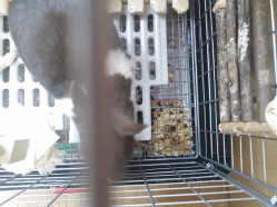 140520b.gif