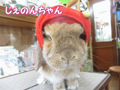 140520c.gif