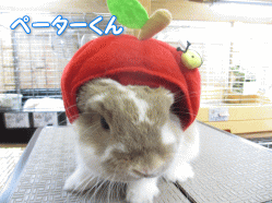 140520e.gif