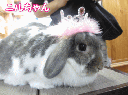 140523c.gif