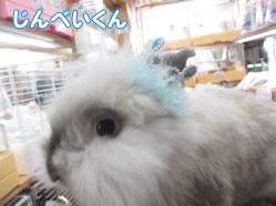 140523e.gif