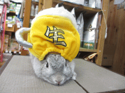 140523h.gif