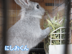 140523i.gif