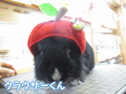 140523k.gif