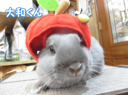 140525c.gif