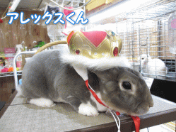 140525e.gif