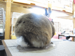 140525h.gif