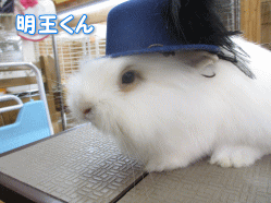 140525k.gif