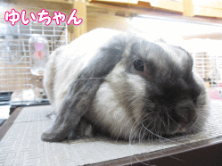 140526a.gif