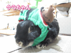 140529e.gif