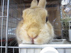 140530b.gif