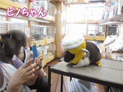 140530c.gif