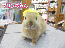 140530e.gif
