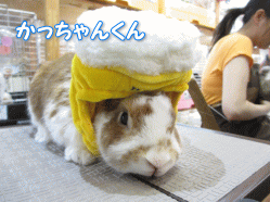 140601c.gif